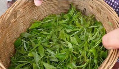 從茶臺到舞臺 30歲逆襲創業，借力煥唄成就富一代傳奇
