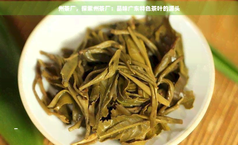 州茶廠 探索廣東特色茶葉的源頭與代理銷(xiāo)售新機(jī)遇