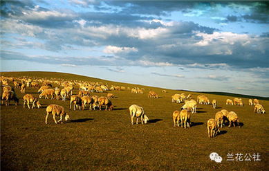 呼倫貝爾，不僅有最美的夏天，還有童話般的金秋——農(nóng)林牧漁的豐盈畫(huà)卷