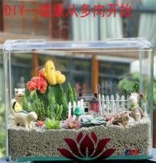 上海清繪園藝養(yǎng)護(hù)服務(wù) 以專(zhuān)業(yè)匠心，守護(hù)城市綠意之美