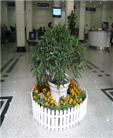 湖北植物租擺租賃 同城優(yōu)選與專(zhuān)業(yè)養(yǎng)護(hù)服務(wù)誠(chéng)薦